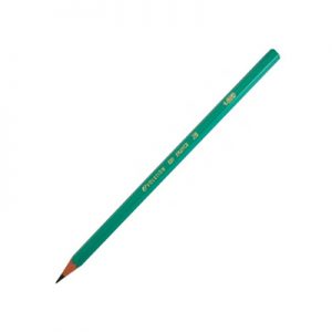 LAPIS PRETO N.2 EVOLUTION BIC