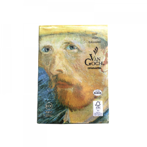 PAPEL A-4 BRANCO VANGOGH 210X297 75GR