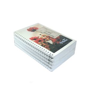 CADERNO 1/4 ESP 96 FLS PANAMERICANA