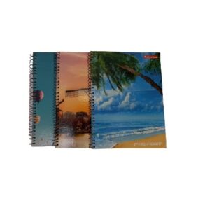 CADERNO UNIV CD 1X1 96 FLS PANAMERICANA