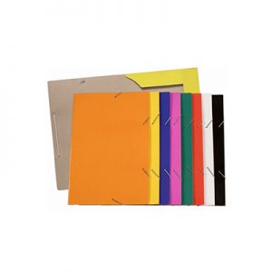 PASTA TIPO CARTOLINA A-4