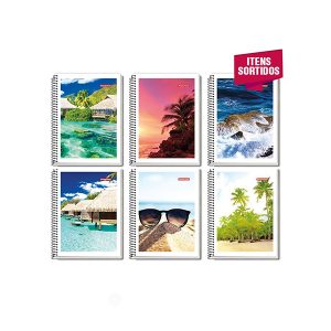 CADERNO UNIV 10X1 200 FLS PANAMERICANA